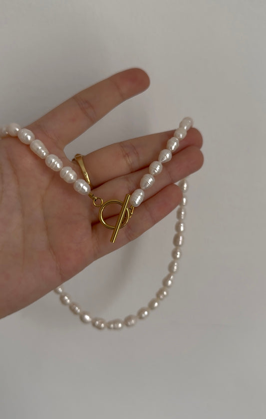 COLLIER SUITY