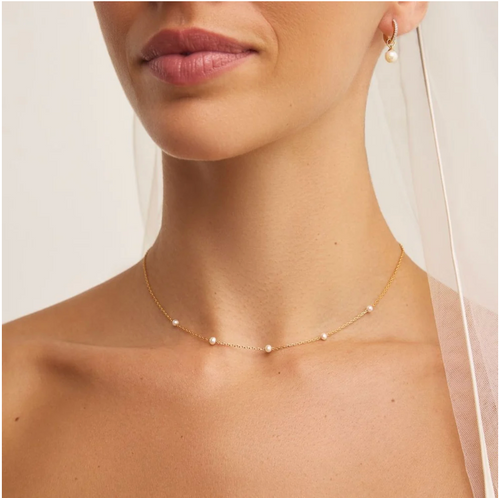 COLLIER SANDRA