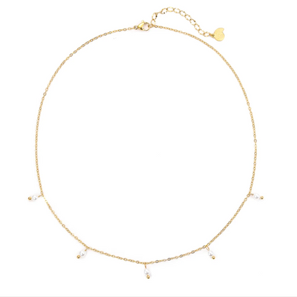 COLLIER ARNALDO