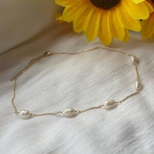 COLLIER SALY
