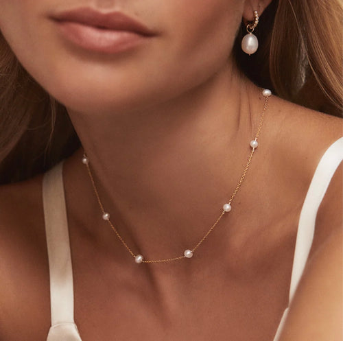 COLLIER SOFTY