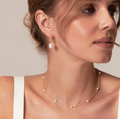 COLLIER SOFTY